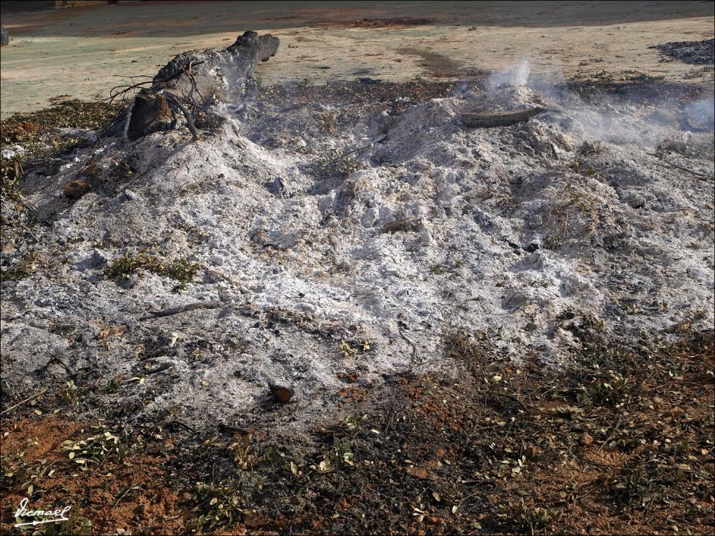 Foto de Alconchel de Ariza (Zaragoza), España
