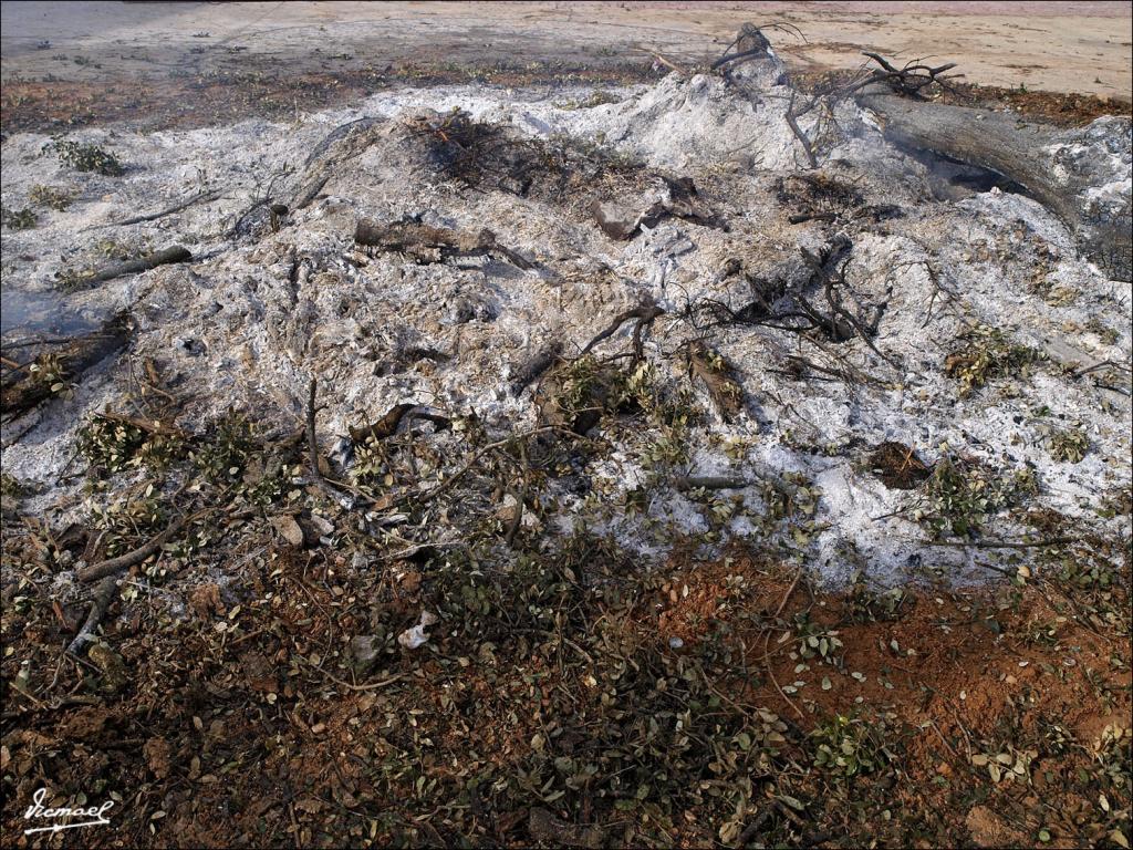 Foto de Alconchel de Ariza (Zaragoza), España