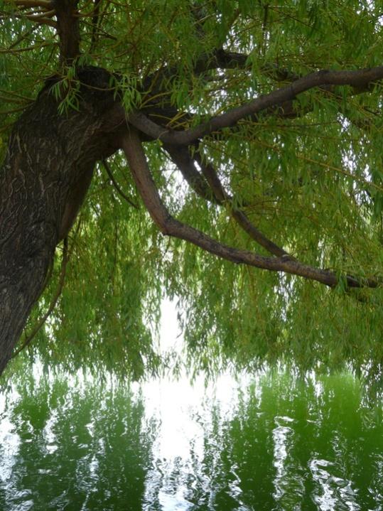 Foto de Puigcerdà (Girona), España