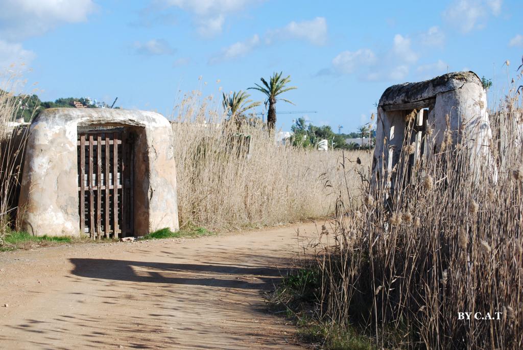 Foto de Ibiza (Eivissa) (Illes Balears), España