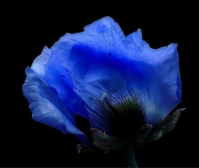 Foto de Puigcerdà (Girona), España