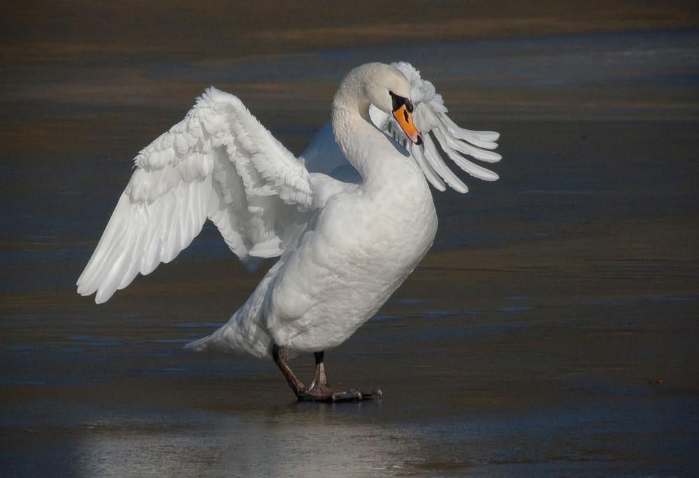 Foto de Barcelona (Cataluña), España