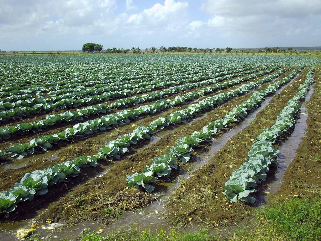 Foto de San Rafael de Yuma, República Dominicana