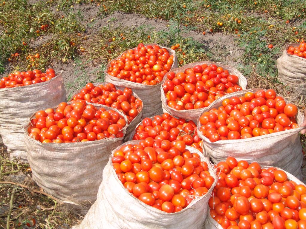 Foto de Azua, República Dominicana