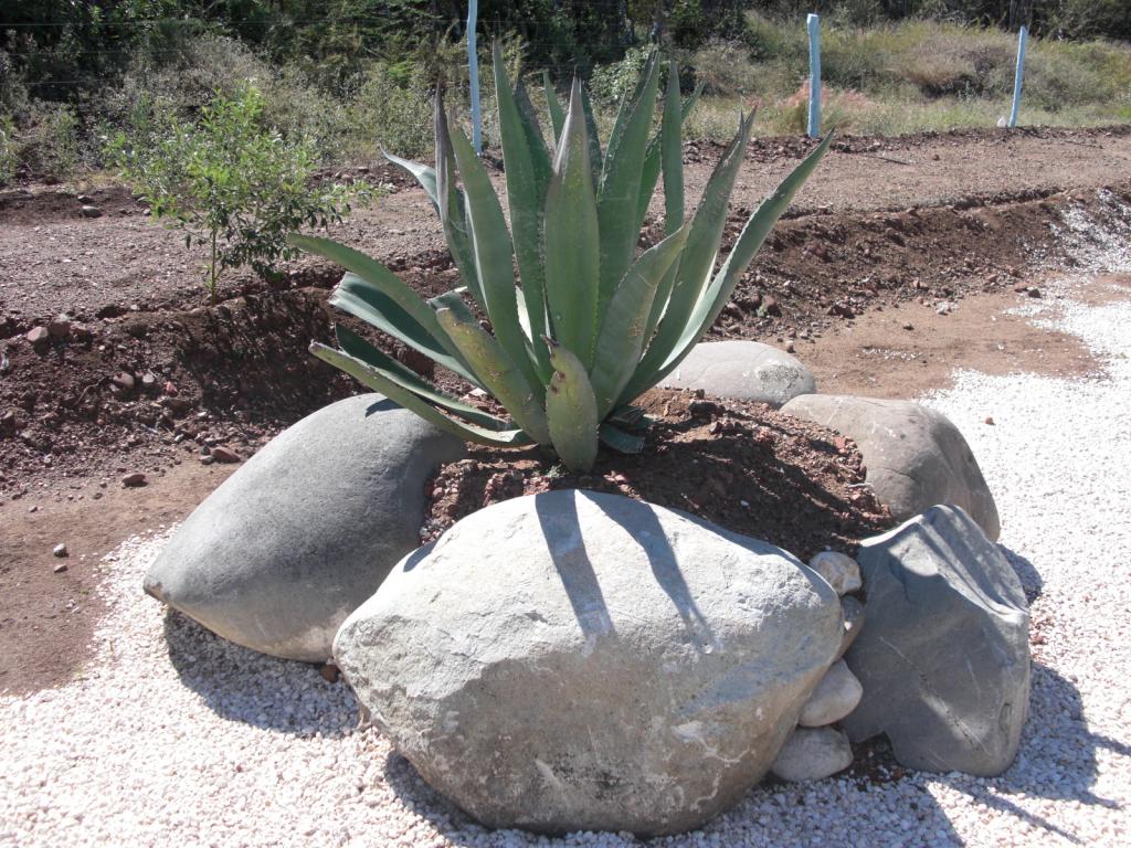 Foto de Azua, República Dominicana