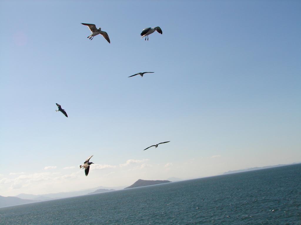 Foto de Golfo de Nicoya (Puntarenas), Costa Rica