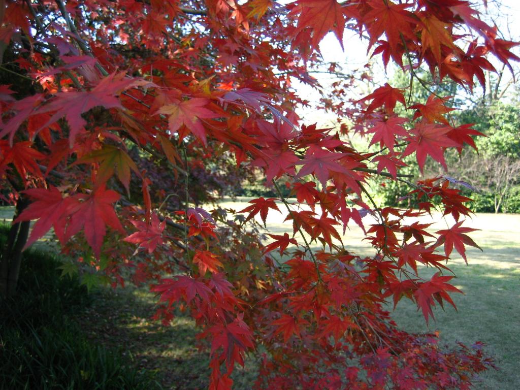 Foto de Hangzhou, China