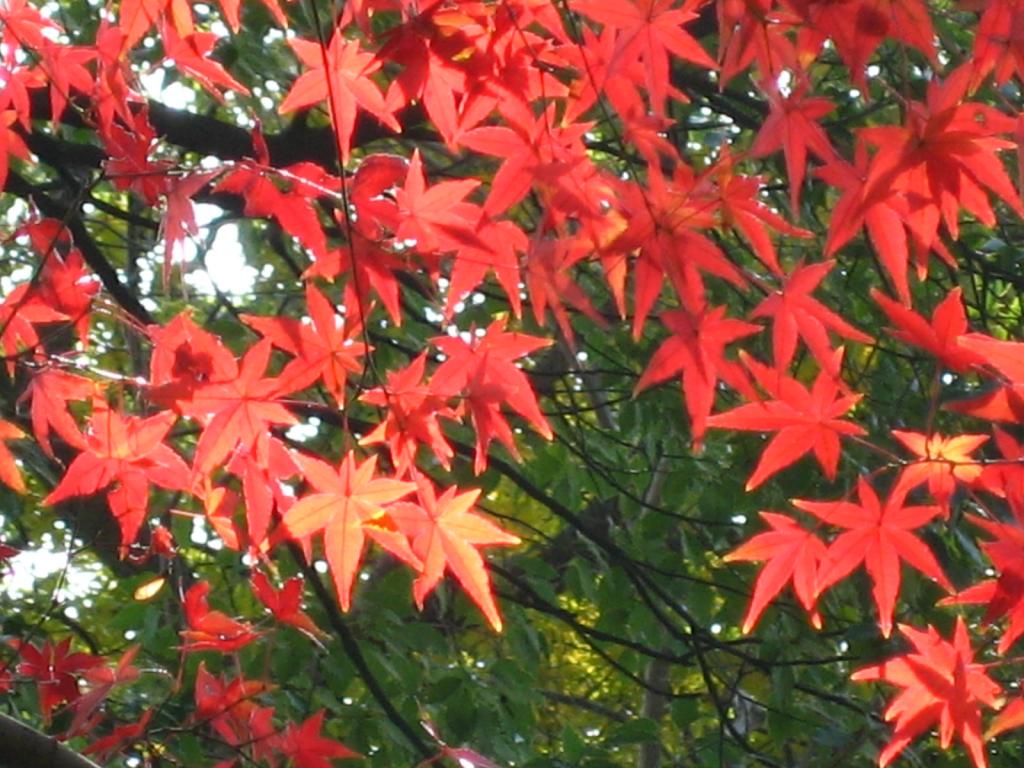 Foto de Hangzhou, China