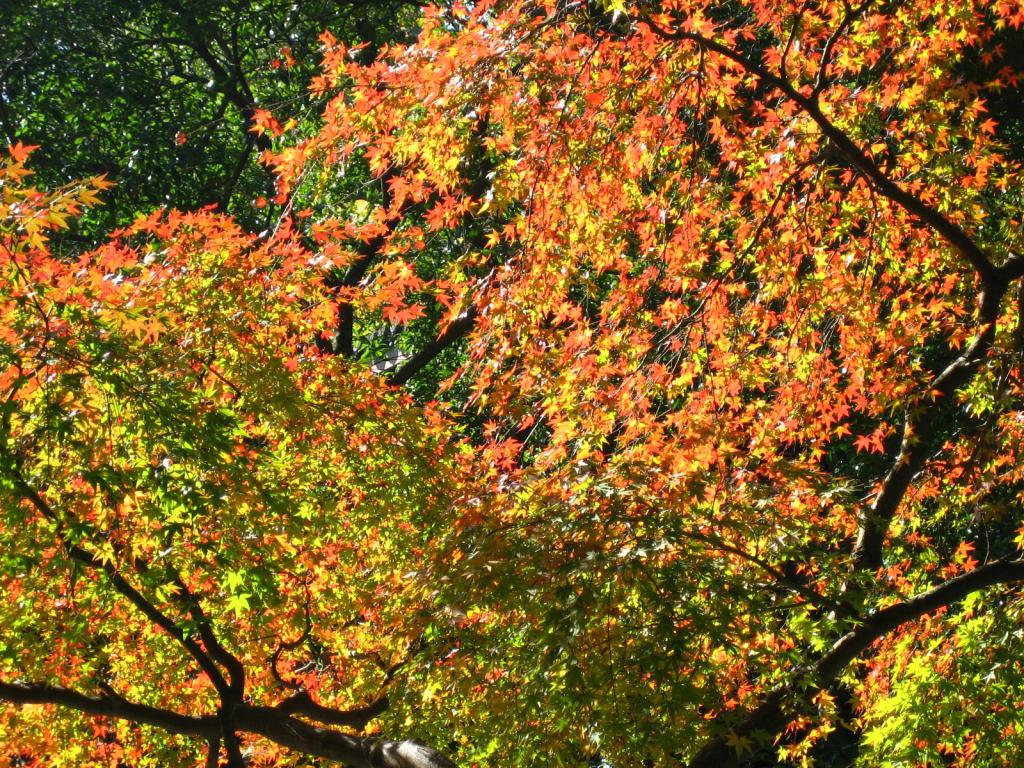 Foto de Hangzhou, China