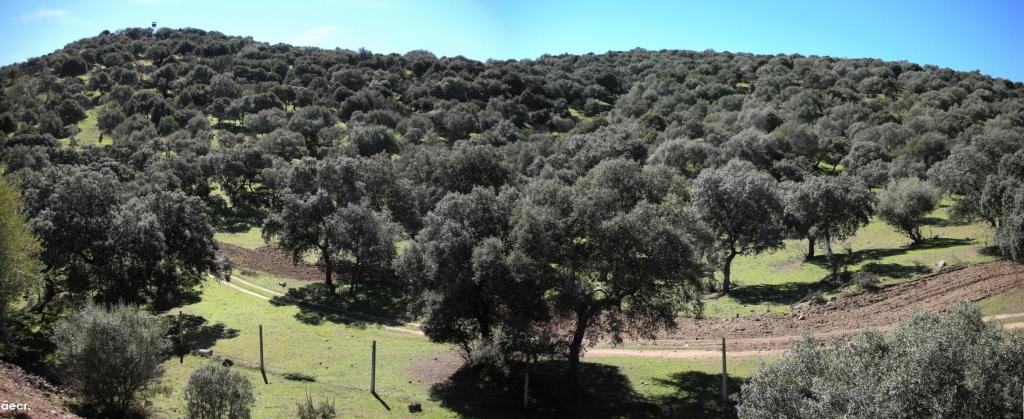 Foto de Calera y Chozas (Toledo), España