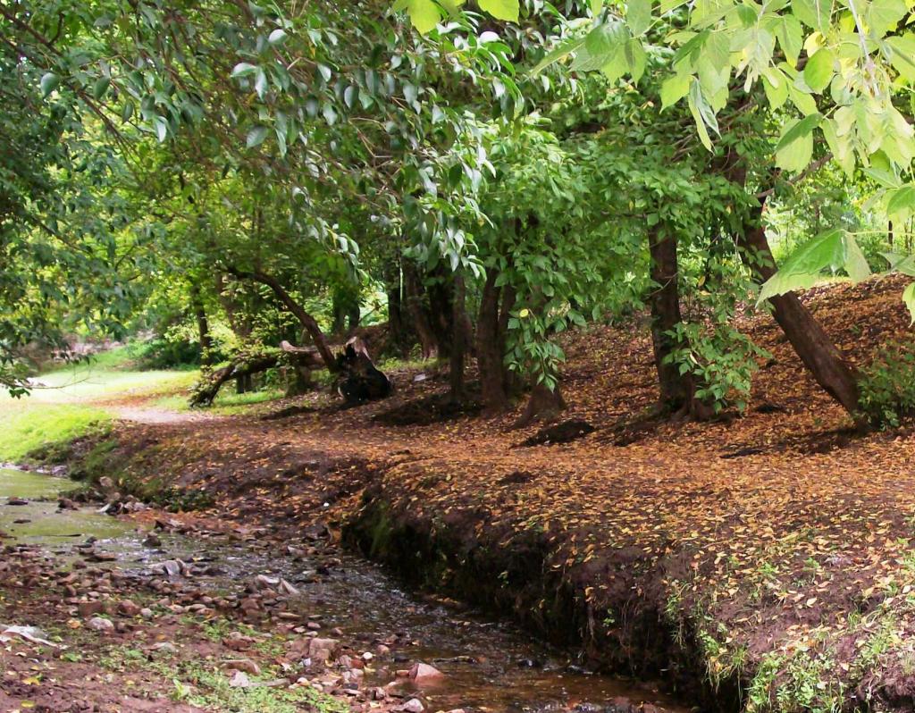 Foto de Bialet Masse, Argentina