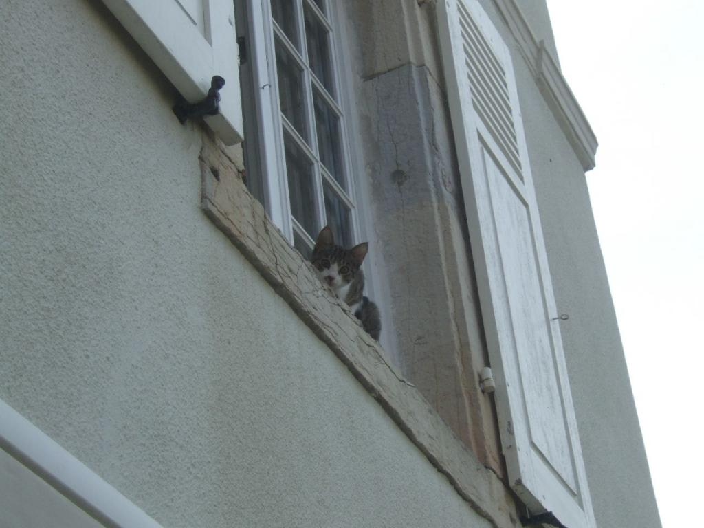 Foto de Ferrette, Francia