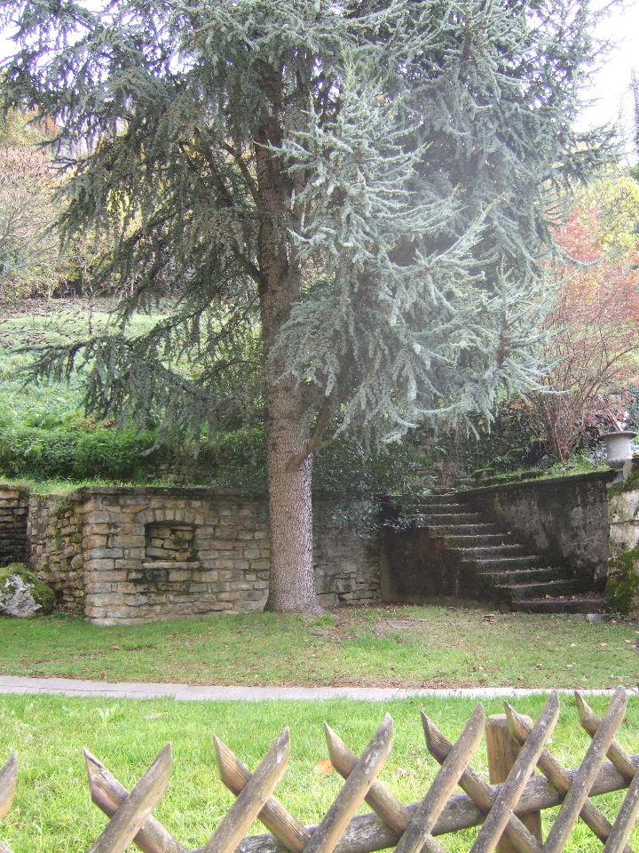 Foto de Ferrette, Francia