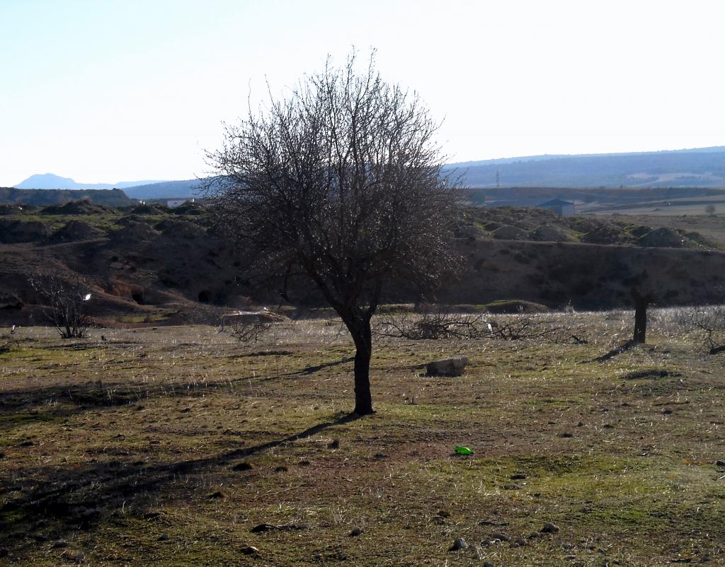 Foto de Chinchilla de Monte Aragon (Albacete), España