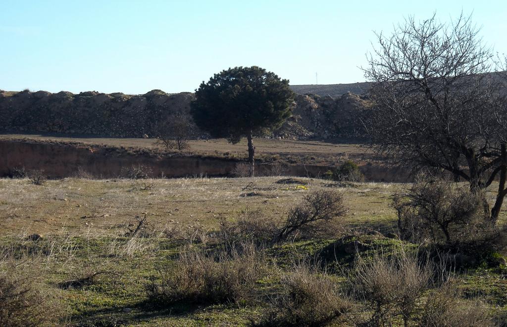 Foto de Chinchilla de Monte Aragon (Albacete), España