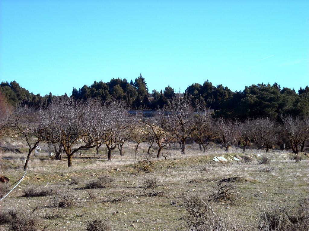 Foto de Chinchilla de Monte Aragon (Albacete), España