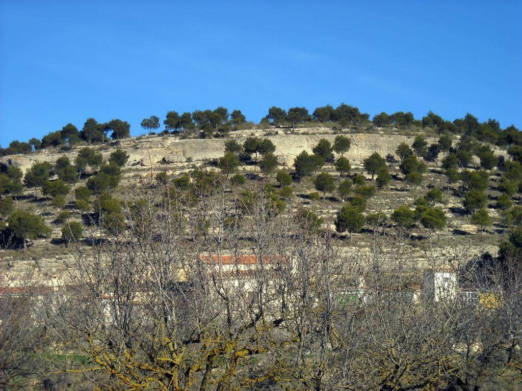 Foto de Chinchilla de Monte Aragon (Albacete), España