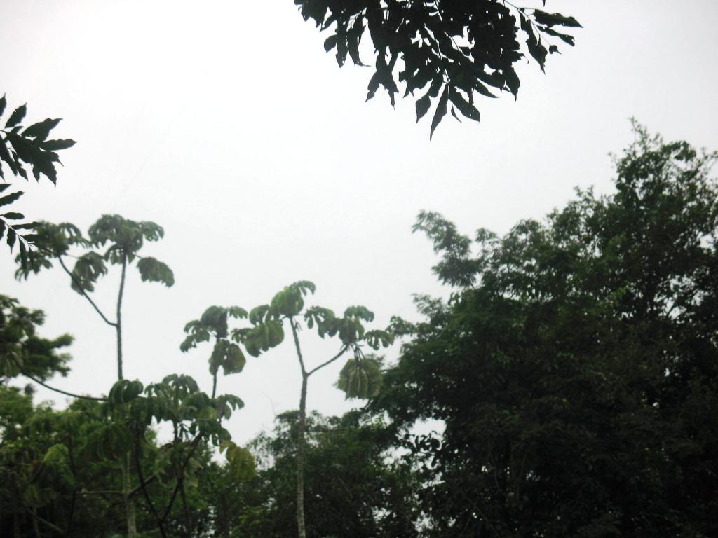 Foto de Iguazu, Argentina