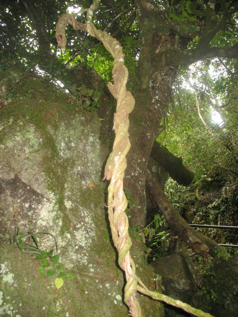 Foto de Iguazu, Argentina