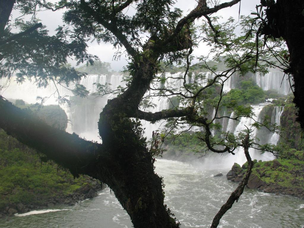 Foto de Iguazu, Argentina