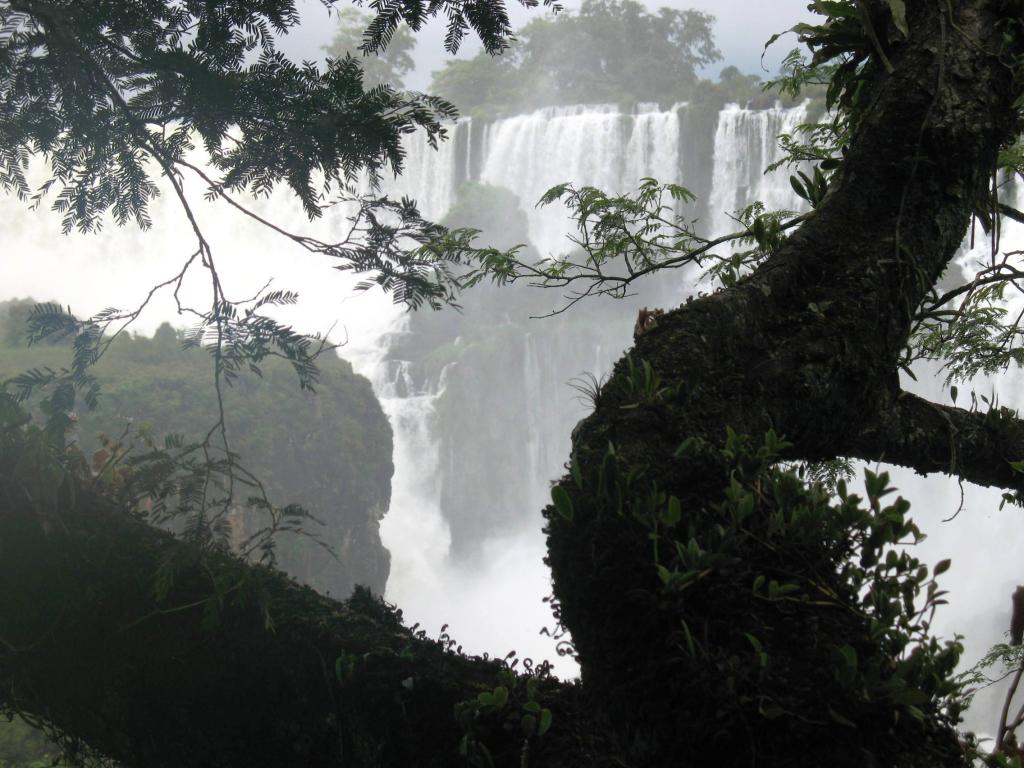 Foto de Iguazu, Argentina
