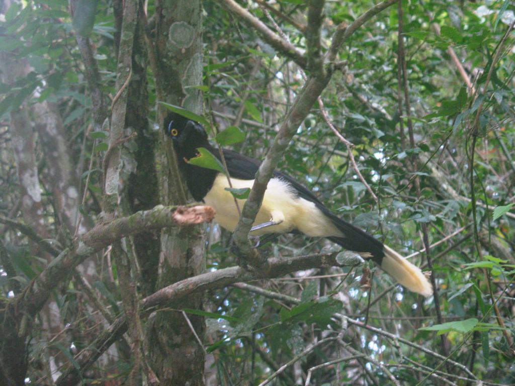 Foto de Iguazu, Argentina