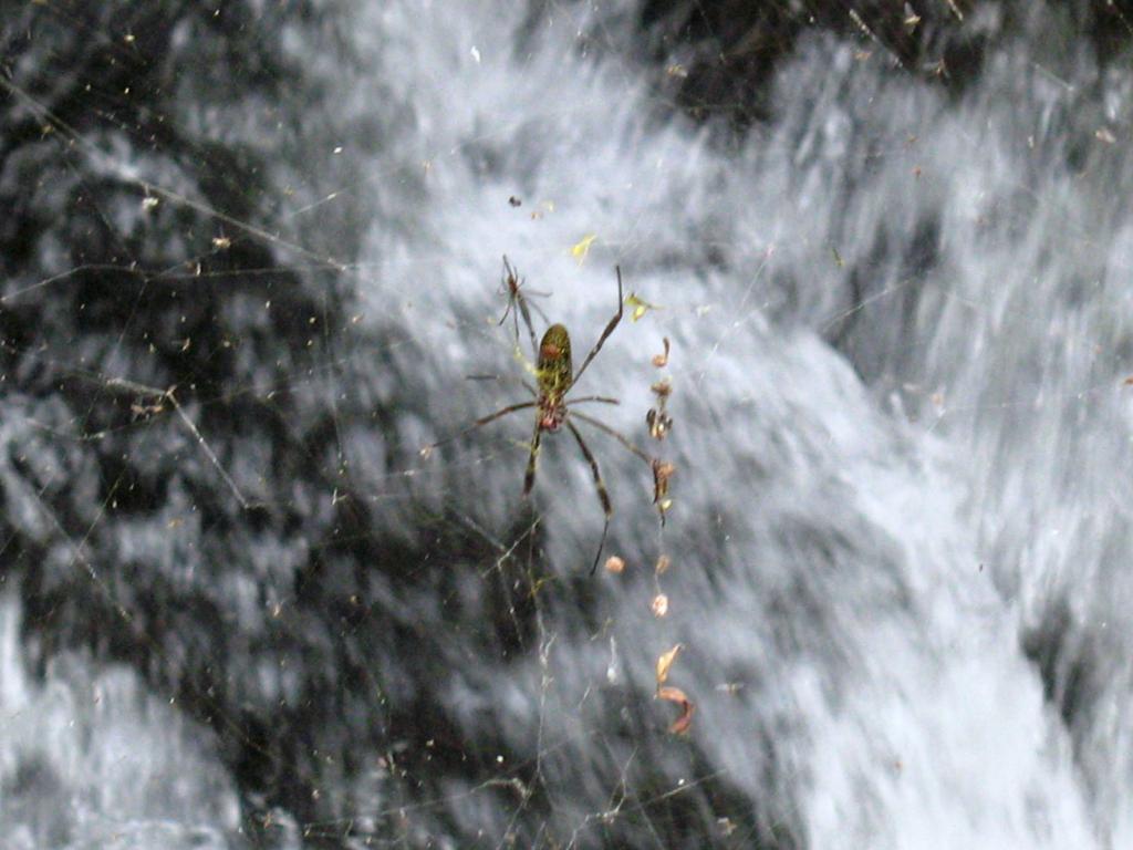 Foto de Iguazu, Argentina