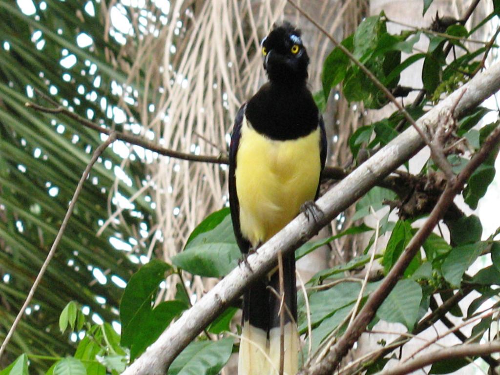 Foto de Iguazu, Argentina
