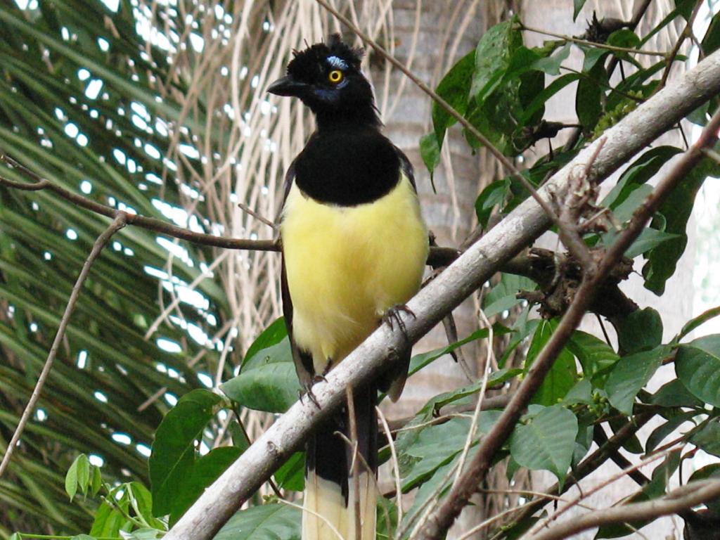 Foto de Iguazu, Argentina