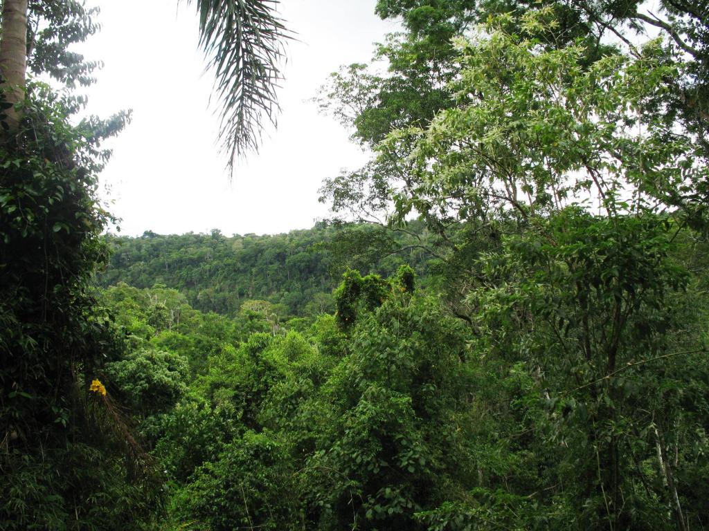 Foto de Iguazu, Argentina