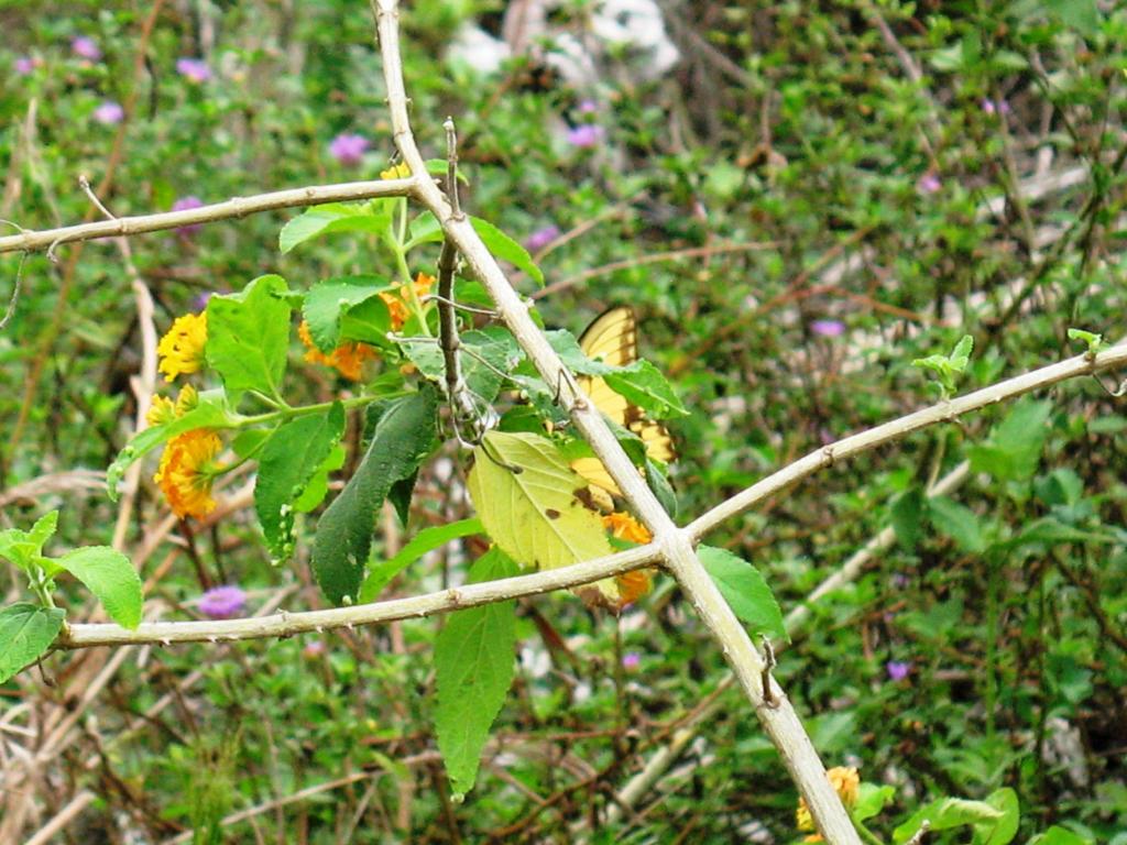 Foto de Iguazu, Argentina