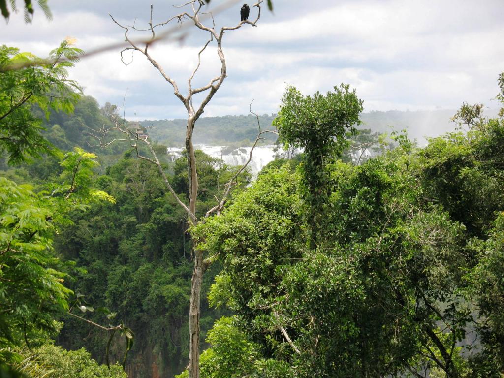 Foto de Iguazu, Argentina