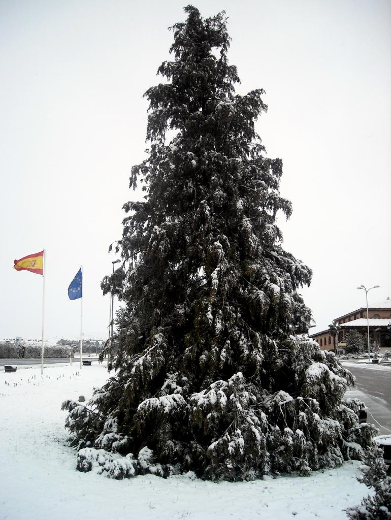Foto de Fuentespina (Burgos), España