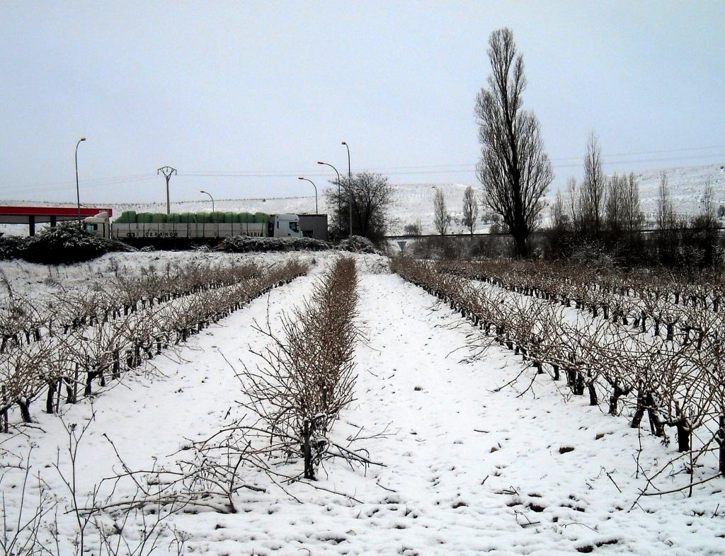 Foto de Fuentespina (Burgos), España
