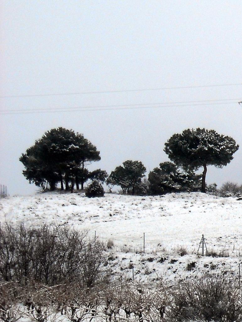 Foto de Fuentespina (Burgos), España
