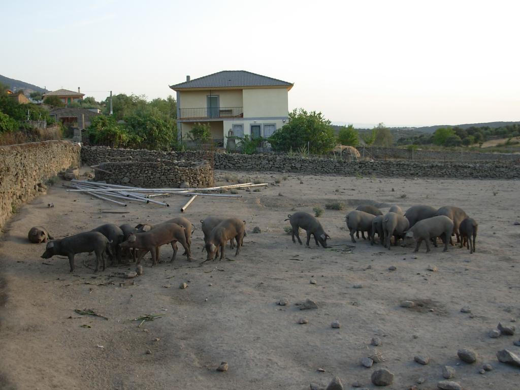 Foto de Villar de Plasencia (Cáceres), España