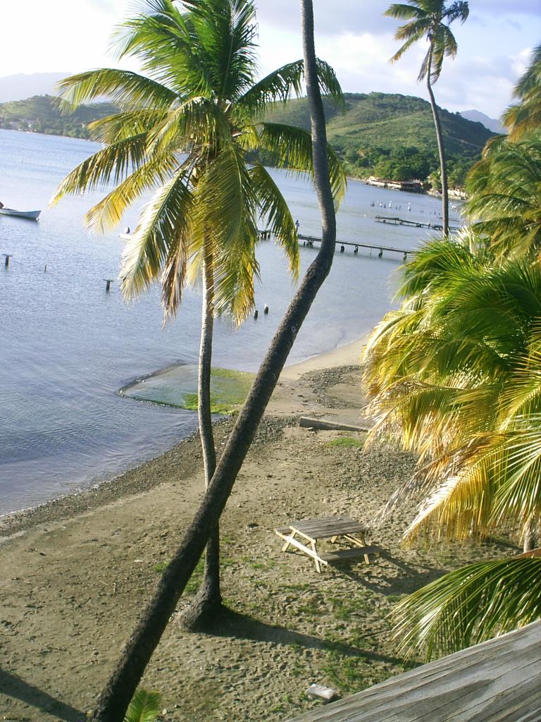 Foto de Patillas, Puerto Rico