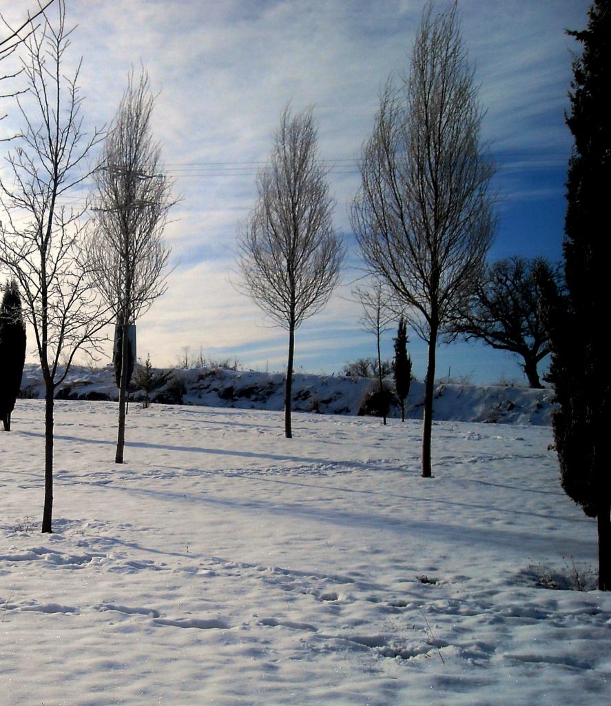Foto de Fuentespina (Burgos), España