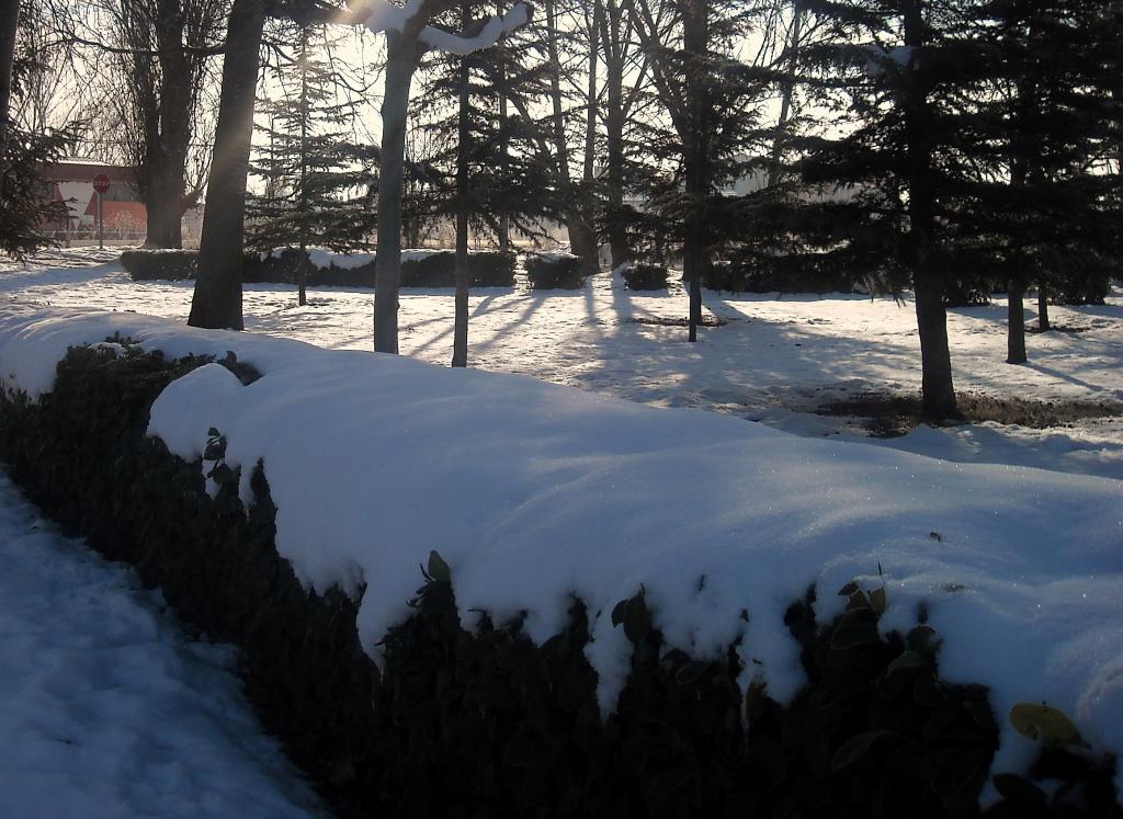Foto de Fuentespina (Burgos), España