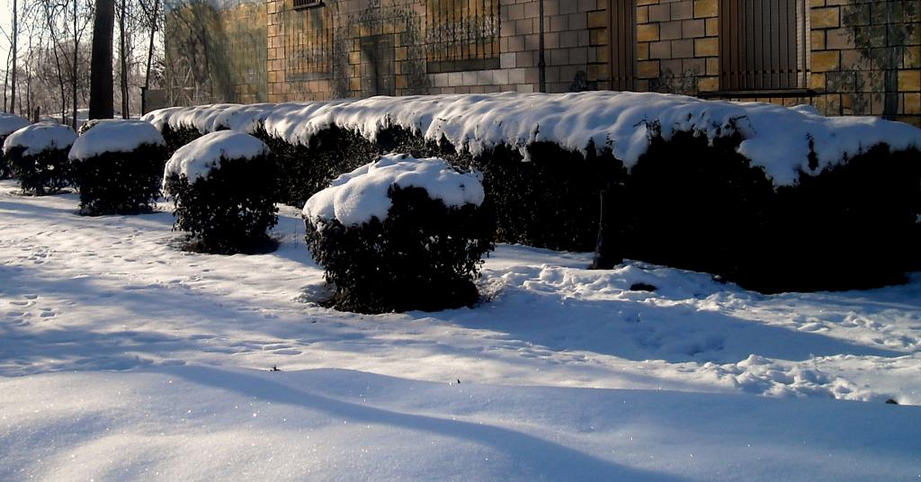 Foto de Fuentespina (Burgos), España