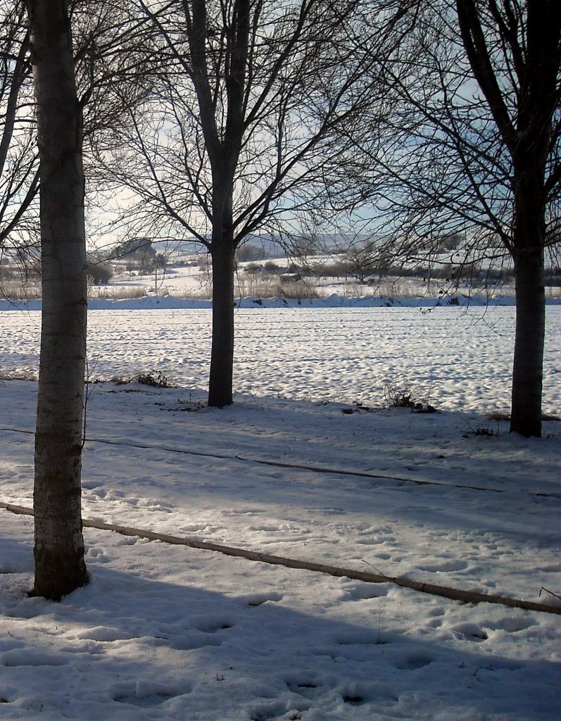 Foto de Fuentespina (Burgos), España