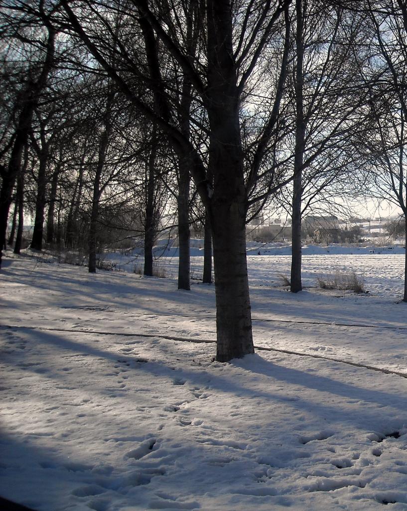Foto de Fuentespina (Burgos), España