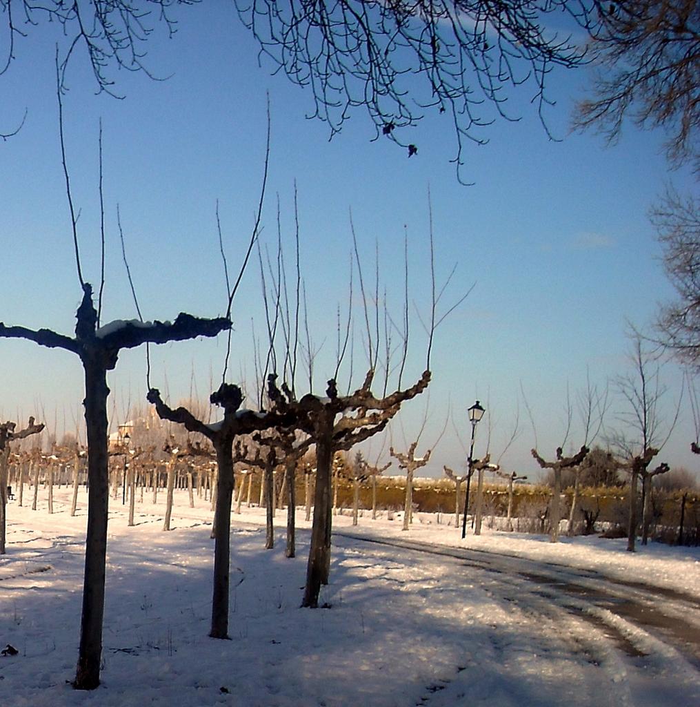 Foto de Fuentespina (Burgos), España