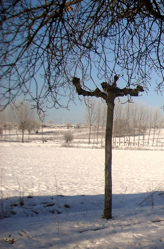 Foto de Fuentespina (Burgos), España
