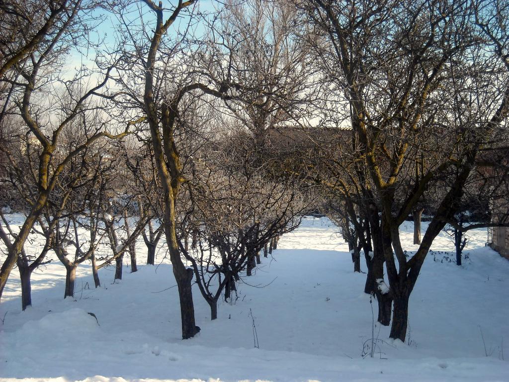 Foto de Fuentespina (Burgos), España