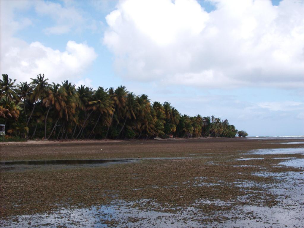 Foto de Patillas, Puerto Rico