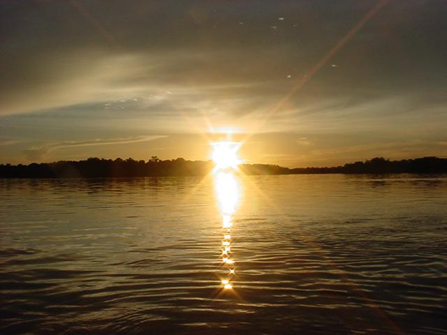 Foto de Amazonas, Venezuela