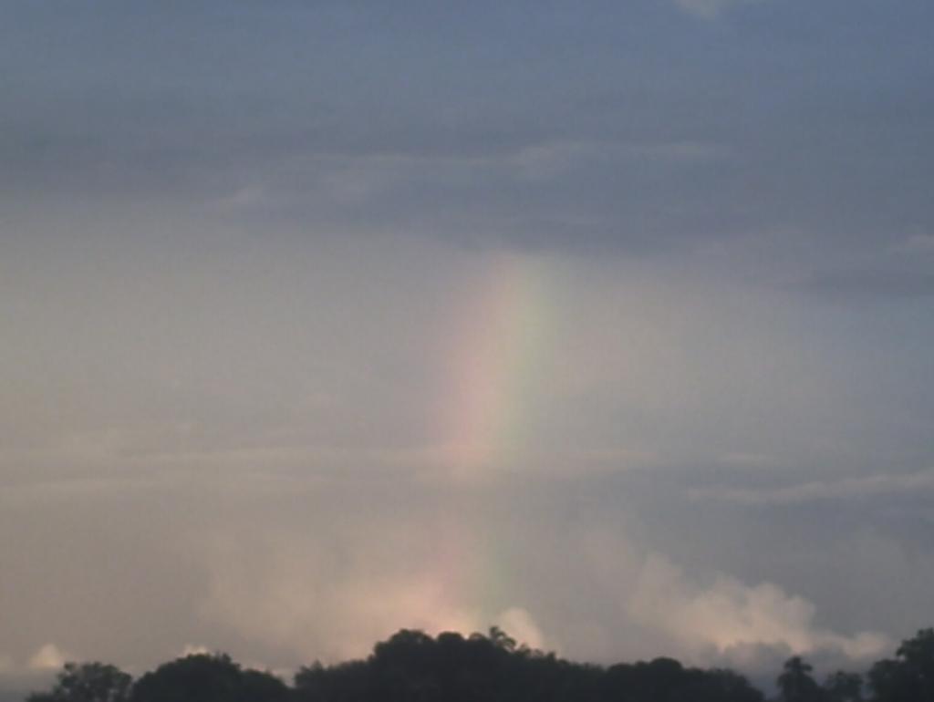 Foto de Amazonas, Venezuela