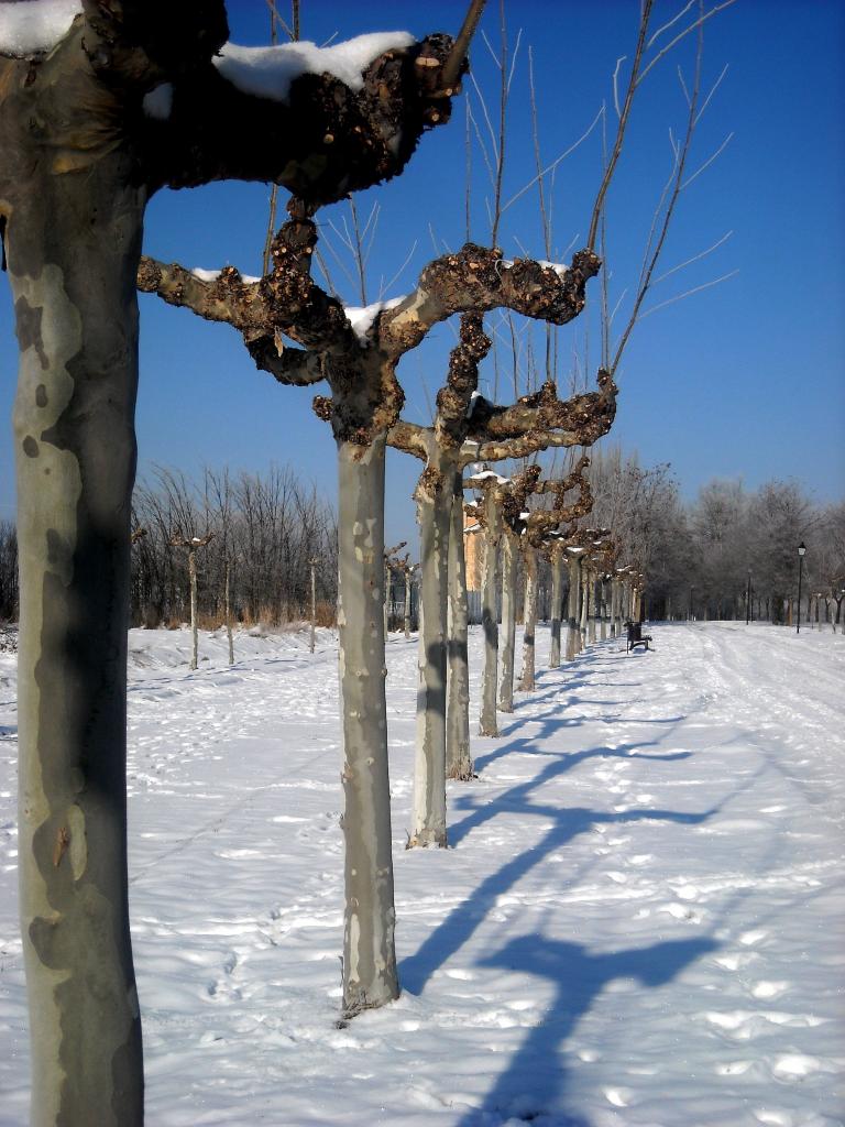 Foto de Fuentespina (Burgos), España