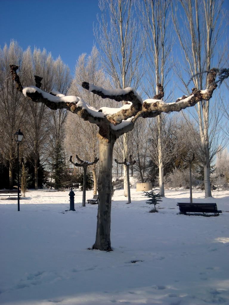 Foto de Fuentespina (Burgos), España